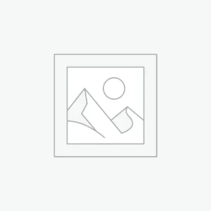 Premium Website Development Services